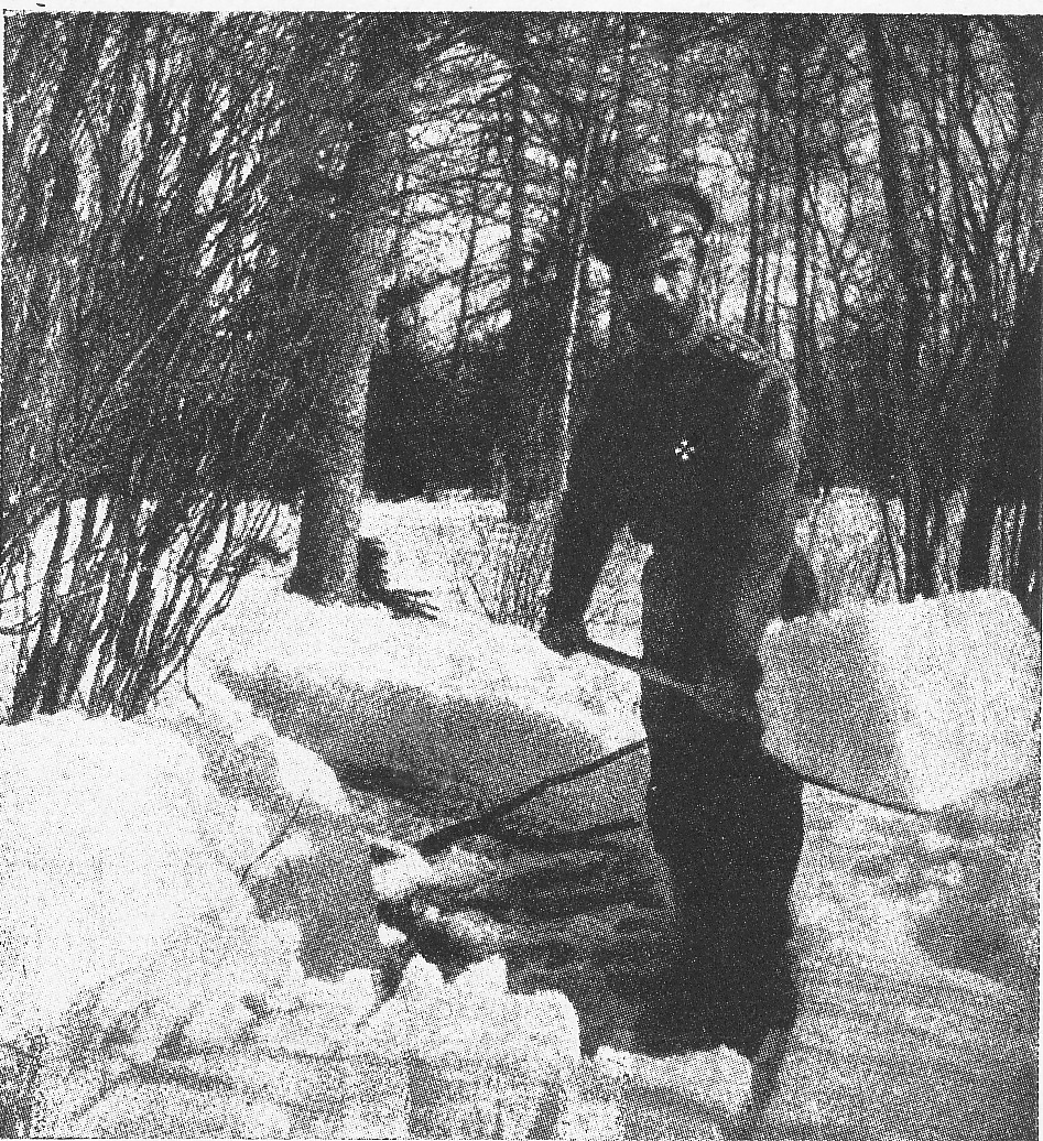 Internovan� car pracuje v zahrad� Carsk�ho Sela