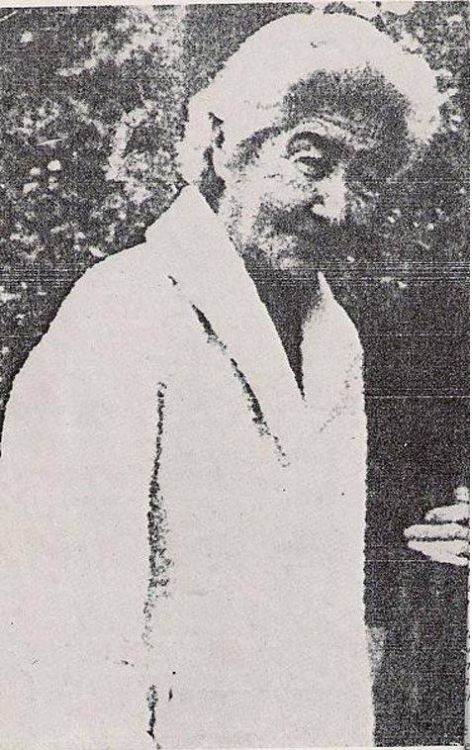 Јустина Шкупи Јустина Шкупи